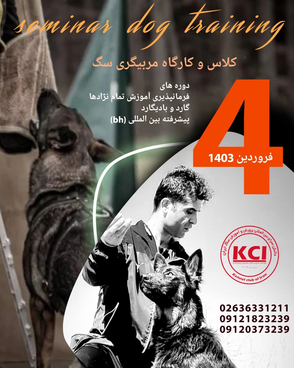مربی سگ خود باشید در کلاس مربیگری سگ فروردین 1403